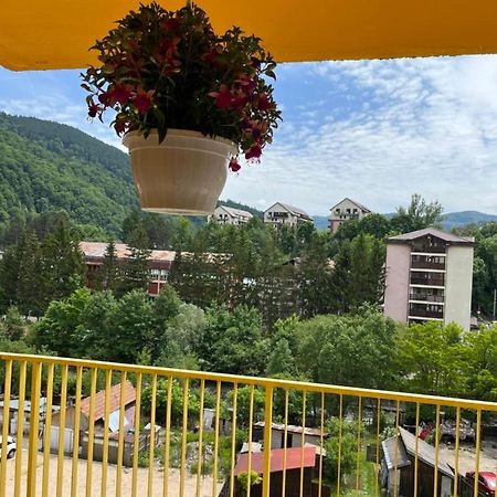 Apartament Anissia Apartament Sinaia Zewnętrze zdjęcie