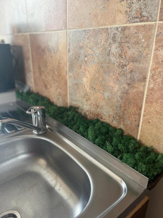 Apartament Anissia Apartament Sinaia Zewnętrze zdjęcie