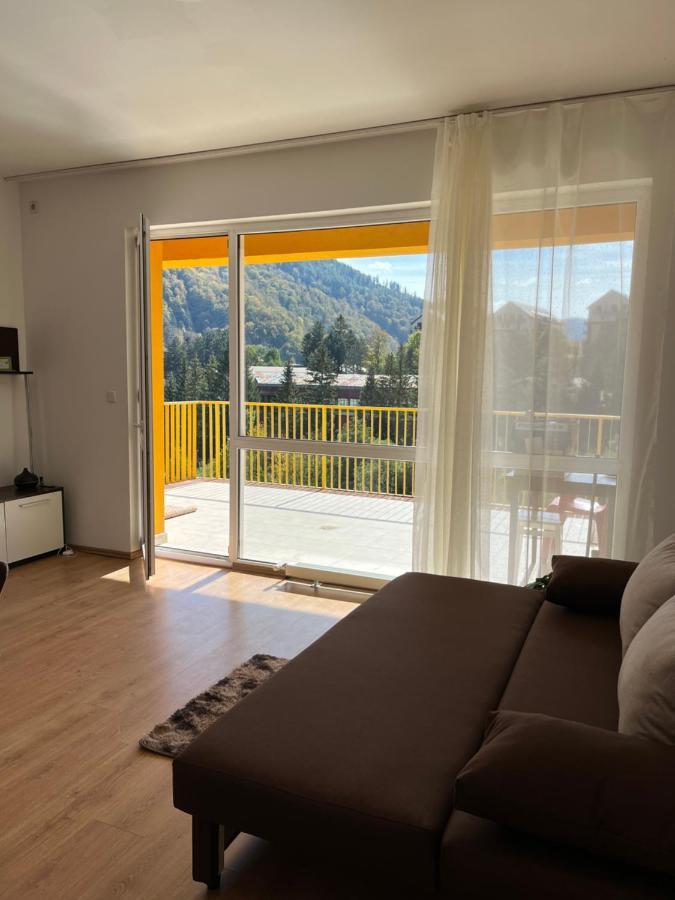 Apartament Anissia Apartament Sinaia Zewnętrze zdjęcie