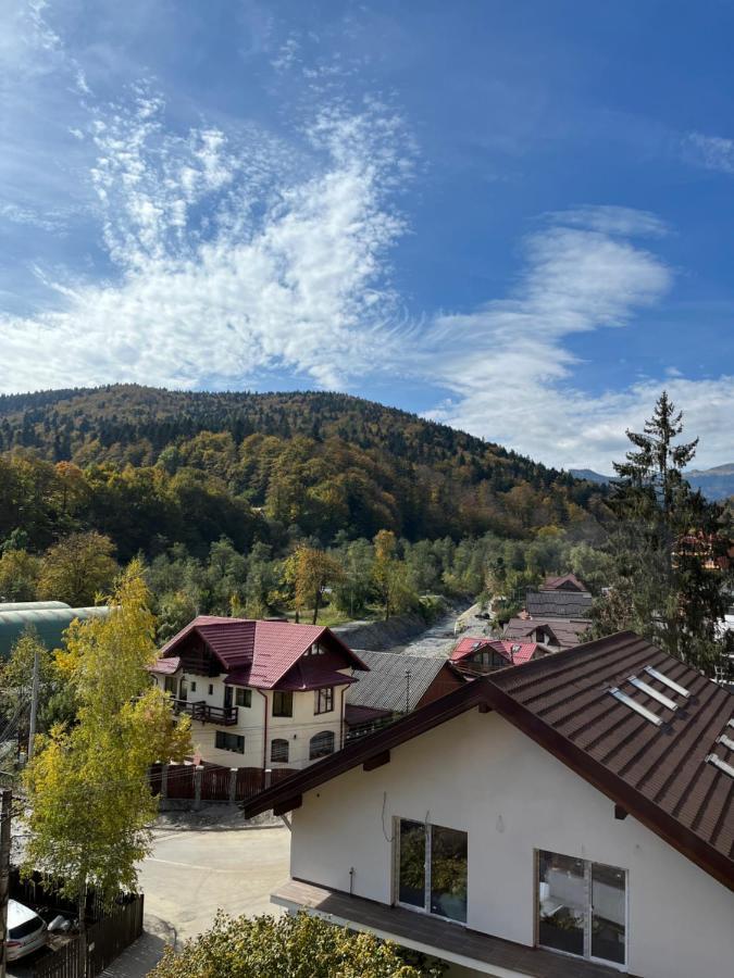 Apartament Anissia Apartament Sinaia Zewnętrze zdjęcie