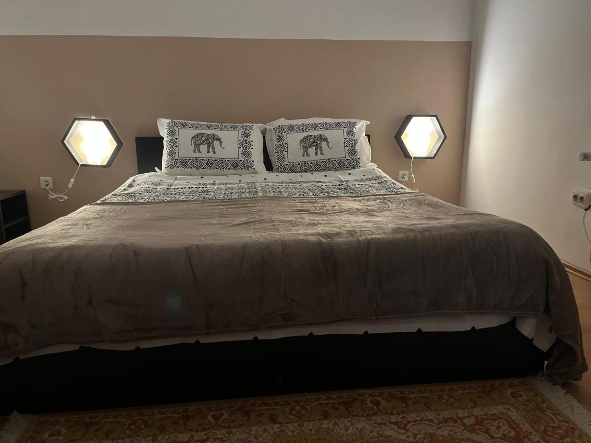 Apartament Anissia Apartament Sinaia Zewnętrze zdjęcie
