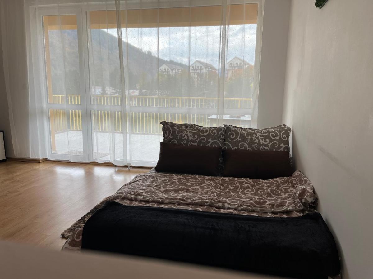 Apartament Anissia Apartament Sinaia Zewnętrze zdjęcie