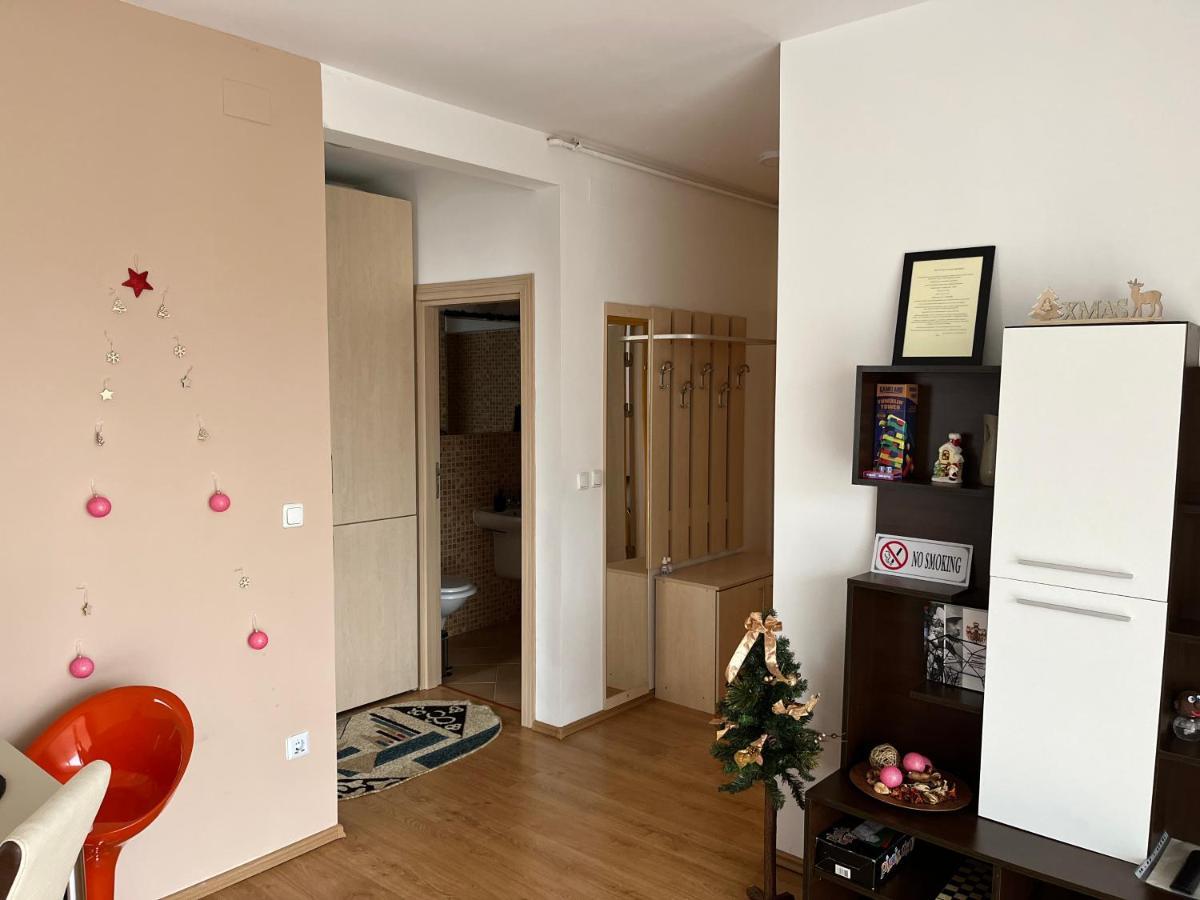 Apartament Anissia Apartament Sinaia Zewnętrze zdjęcie