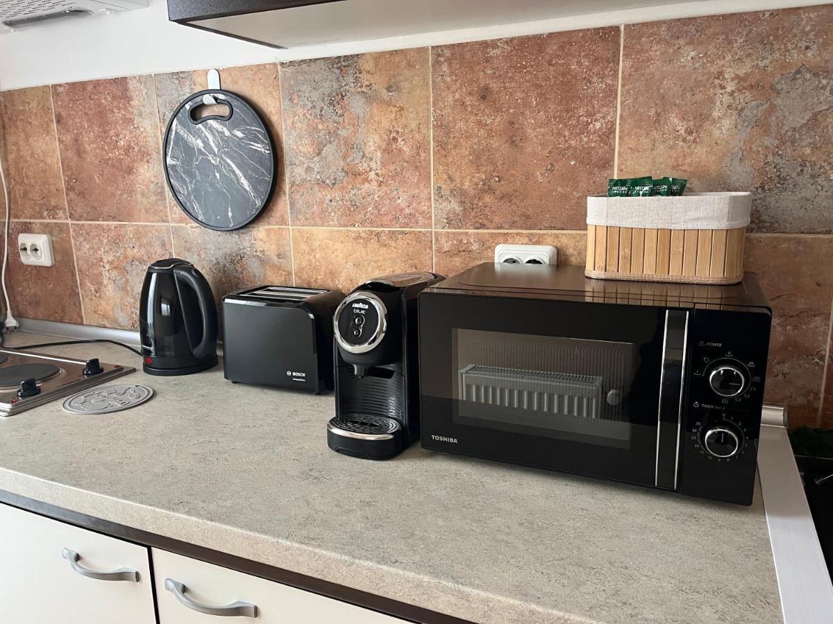 Apartament Anissia Apartament Sinaia Zewnętrze zdjęcie